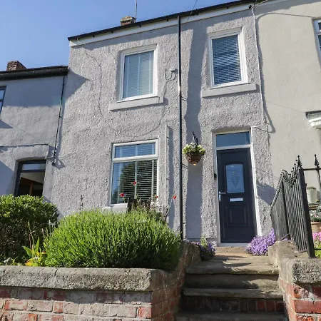 Lavender Saltburn-by-the-Sea
